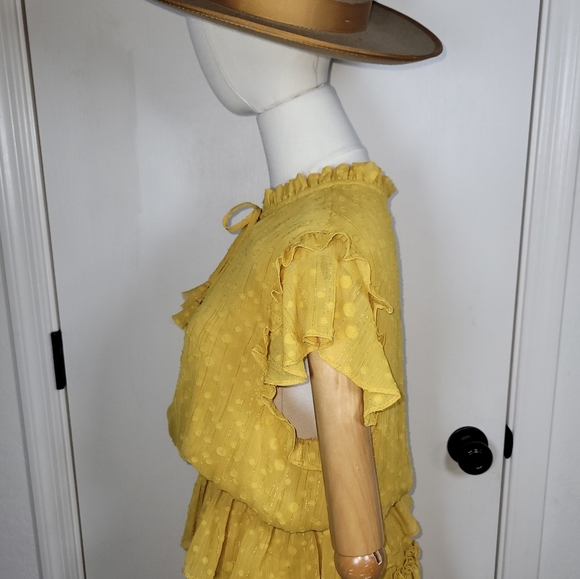 MISA Yellow Polka Dot Ruffle Tiered V-Neck Mini Dress Size Small - Picture 10 of 13